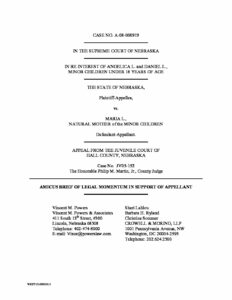 2009 04 07 Amicus Brief of Legal Momentum ISO Appellant Luis pdf