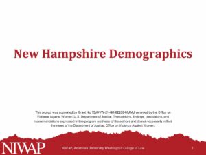 Demographics New Hampshire 10.23.23 pdf