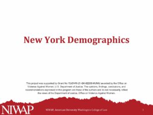 Demographics New York 10.25.23 pdf