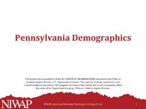 Demographics Pennsylvania 11.6.23 pdf