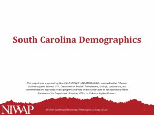 Demographics South Carolina 11.8.23 pdf