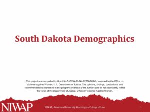 Demographics South Dakota 11.8.23 pdf
