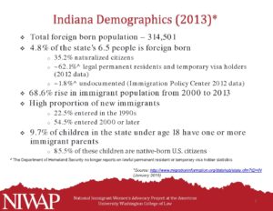 IN Demographics 2013 data pdf 1