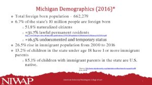MI Demographics 2013 data pdf