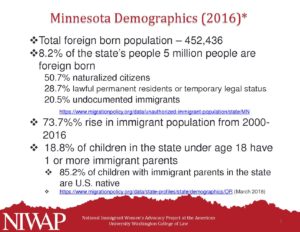 MN Demographics 2013 data pdf
