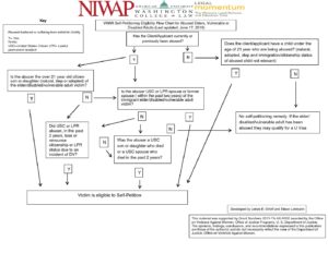 VAWA Self Petitioner Elder Abuse Flow Chart 6.17.19 pdf