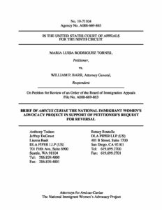 20191018 Brief of Amicus Curiae NIWAP ISO Petitioners Request for Reversal 1 pdf