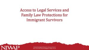 Access to Legal Services and Family Law Protections pdf