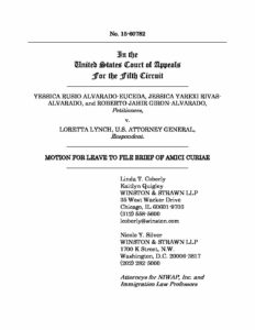 Amicus from NIWAP and Law Professors pdf