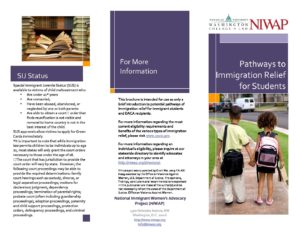Beyond DACA Pathways to Immigration Relief for Students 1 pdf