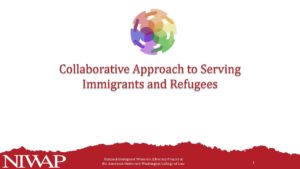 Collab Approach to Serving Immigants and Refugees final pdf