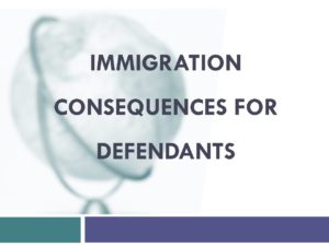 Cora Tekach Presentation Immigration Consequences for Defendants 8.6.19 pdf
