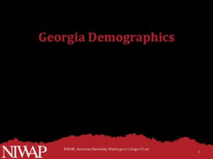 Demographics Georgia updated 9.27.2023 1 pdf