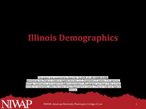Demographics Illinois updated 9.27.2023 pdf