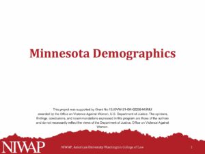 Demographics Minnesota 10.15.23 pdf