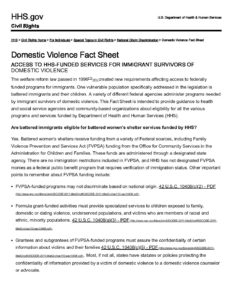 Domestic Violence Fact Sheet HHS.gov pdf