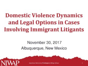 Dynamics and Legal Options in Cases Involving Imm Litigants 1 pdf