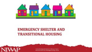 Emergency Shelter and Transitional Housing Final pdf