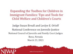 Expanding the Toolbox for Children in Immigrant Families Tips and Tools for Child Welfare and Childrens Courts NCJFCJ 03.23.21 pdf