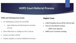 Hope Court Referral Process pdf