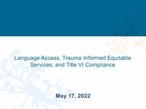 Language Access and RAIINN.5.16.22 pdf