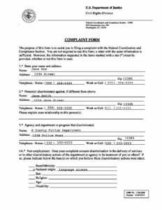Model DOJ Complaint Form Sample pdf