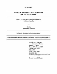 Motion Combined With Amicus Brief pdf