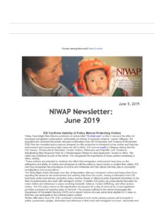NIWAP June 2019 Newsletter FINAL pdf