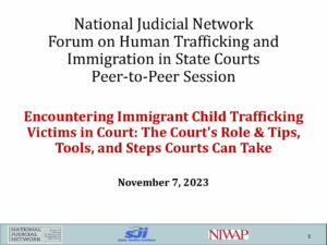 NJN Slides Tips and Tools for Judges RE Trafficking VIctims 11.7.23 final pdf