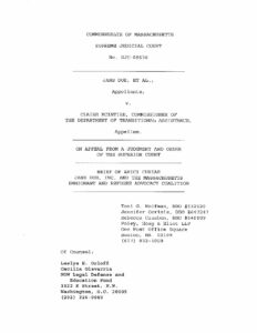 NOW Legal Defense Amicus Jane Doe MA pdf
