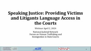 National Judicial Network FCS NJN NIWAP Slides 4.1.24 pdf
