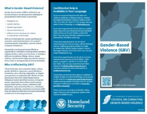 OPS DHS GenderBasedViolence V9c En 508 1 pdf