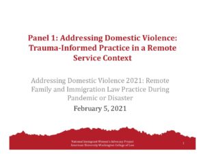 Panel 1 Addressing DV Trauma Informed Practice in a Remote Service Context pdf