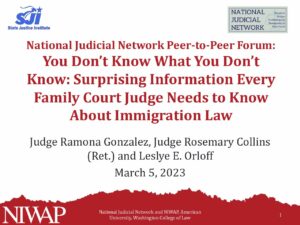 Peer2Peer NJN Suprising Info Fam Judges Dont Know 3.5.24 pdf