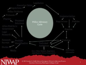 Policy Advocacy Cycle 2012 pdf