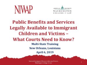 Public Benefits and the Courts Webinar Slides pdf