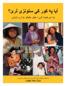Safe at Home Brochure Translation Version Pashto pdf