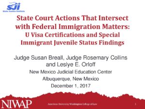 State Court Actions and Fed Imm Matters U Visa Cert and SIJS Findings pdf