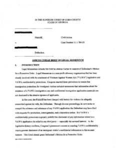 State Family Court VAWA Confidentiality Amicus Family 2011 pdf