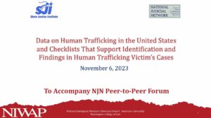Trafficking Data and Findings Checklists Handout pdf