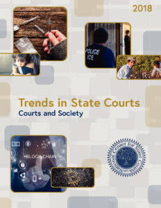 Trends in State Courts Survey Findings pdf