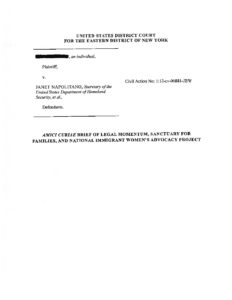 U.S. District Ct Amicus VAWA Confidentiality Criminal 2012 pdf