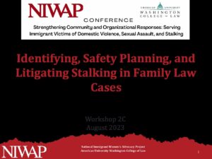 Workshop 2C Stalking in Family Law Cases Slides pdf